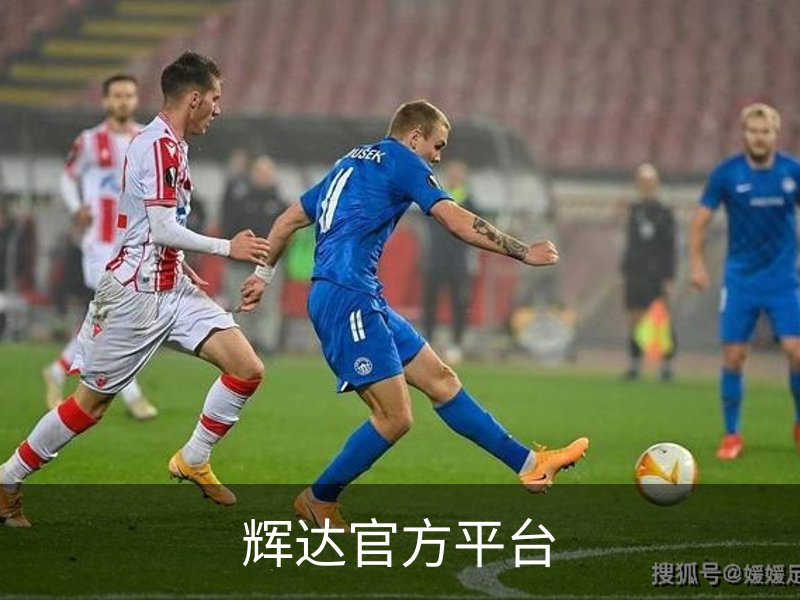 辉达官方平台品牌故事